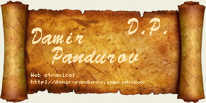 Damir Pandurov vizit kartica